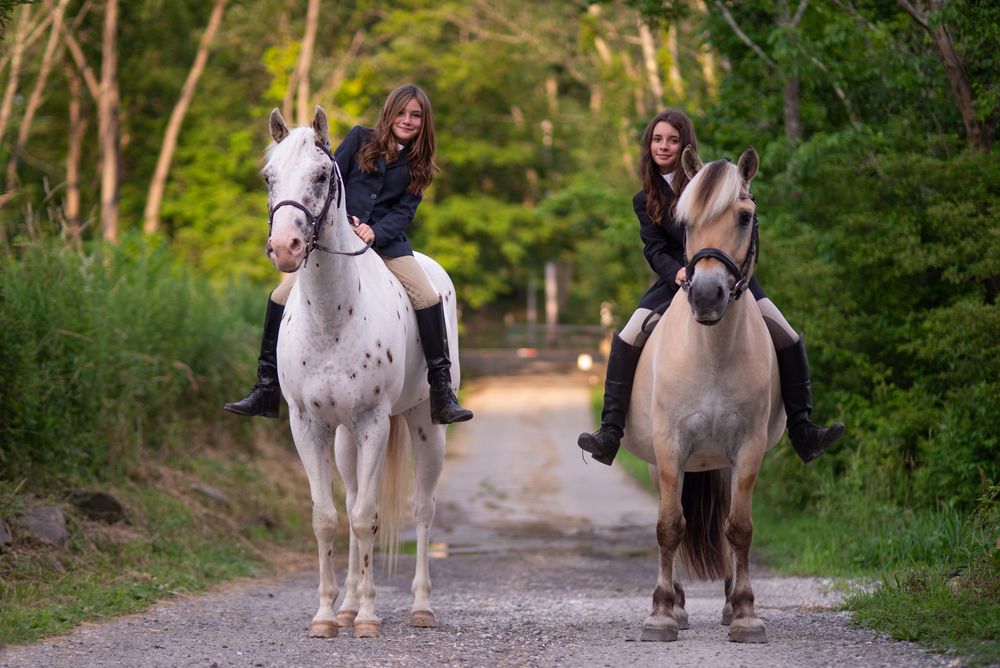 Lessons for Blue Stone Farm in Wantage, NJ