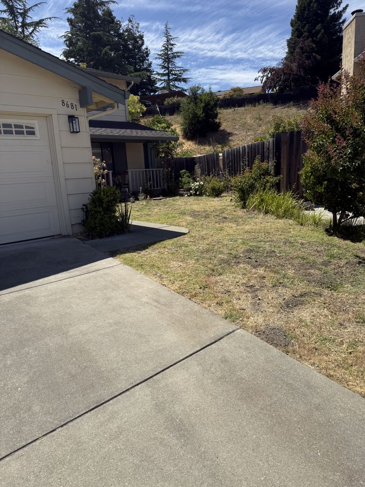 All Photos for CBA Landscaping in Hayward, CA