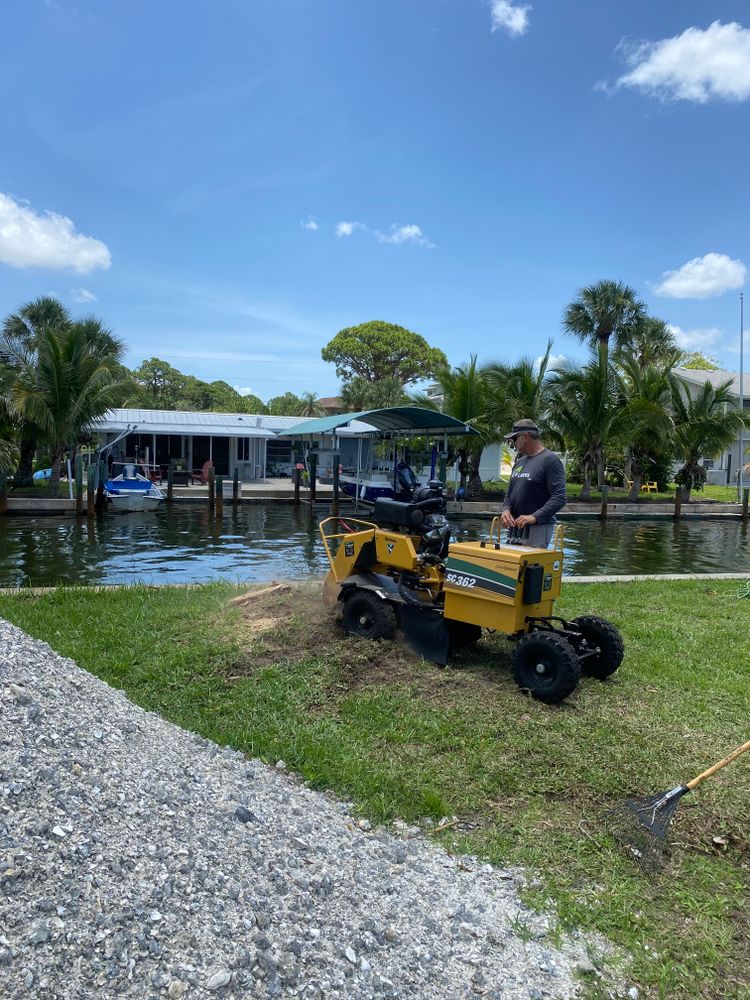 All Photos for MX Trees LLC in Englewood, FL