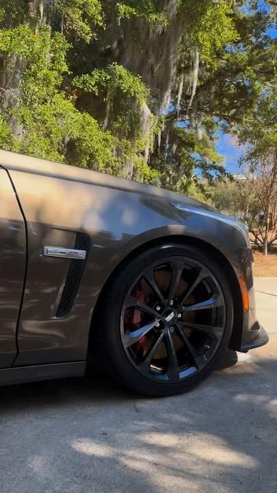 All Photos for PalmettoRevive Mobile Detailing in Charleston, SC