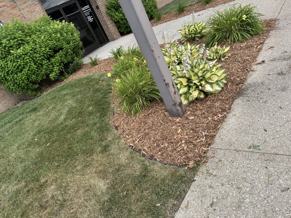 Landscaping Lawn Care for Daugherty's Tough Lawn Care in Essexville, MI