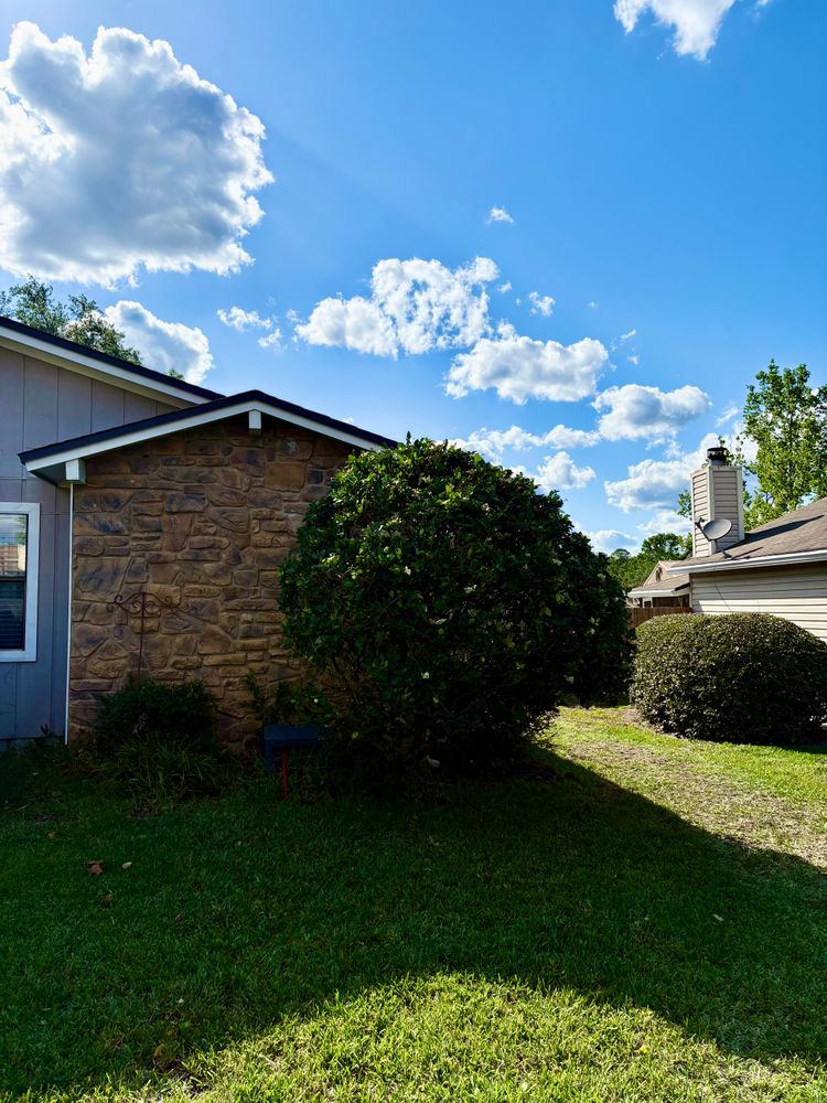 All Photos for Top Notch Tree Experts in Orange Park, FL