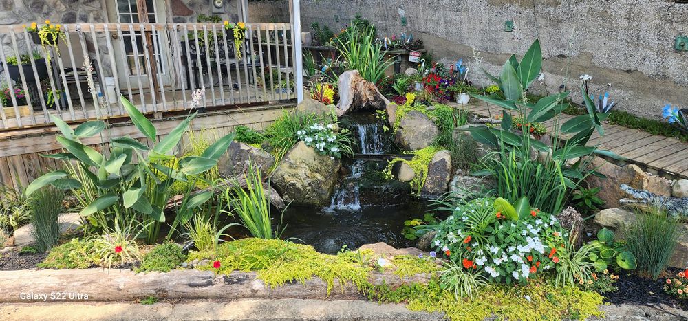 All Photos for Freeland's Water Gardens in Clarksburg, WV