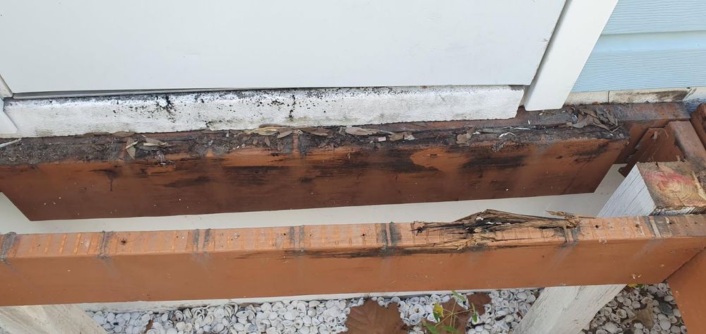 All Photos for Nunez Concrete & Landscape LLC in Tampa Heights, FL