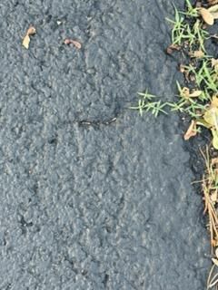 All Photos for James R Carter Paving in Roanoke, VA