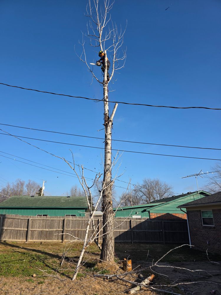 All Photos for Oklahoma Tree Guy in Bartlesville, OK