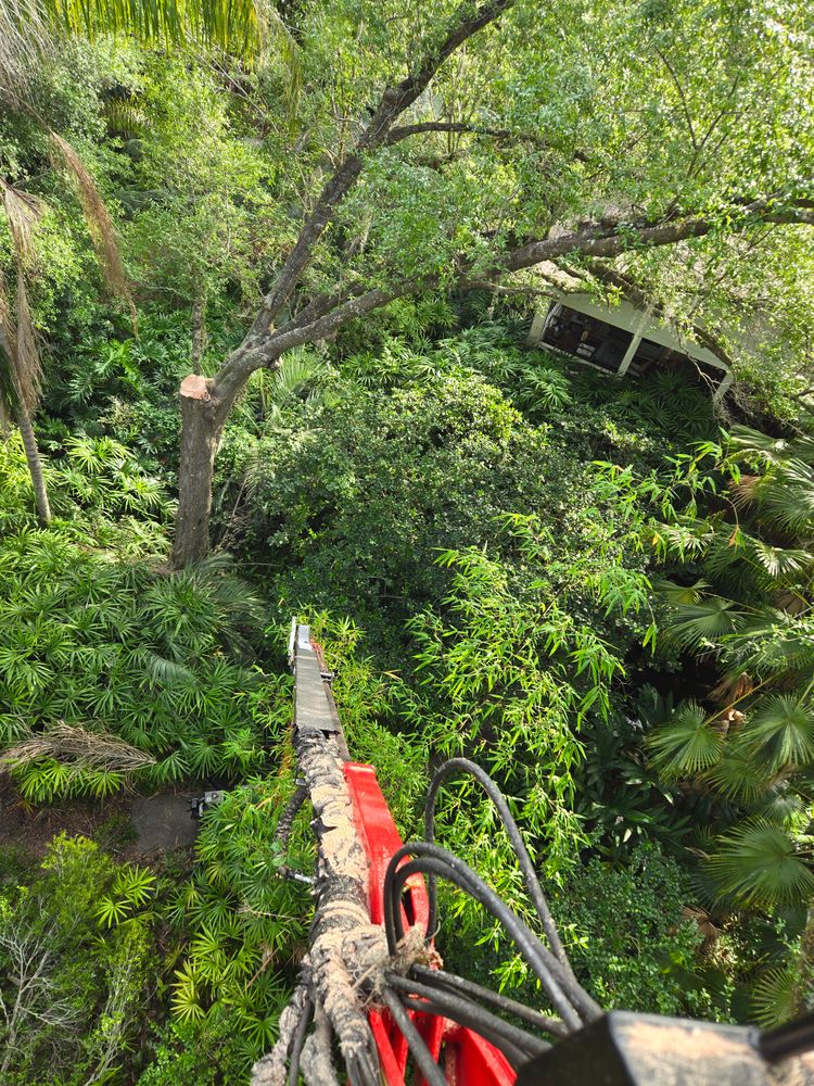 All Photos for Near Me Tree Service, Inc. in DeLand, FL