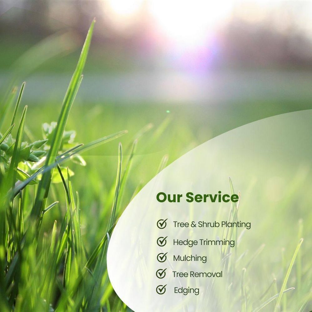 All Photos for Mulch & Dig in West Bloomfield Township, MI