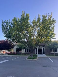 All Photos for Sammy's Tree Services in Sacramento, CA