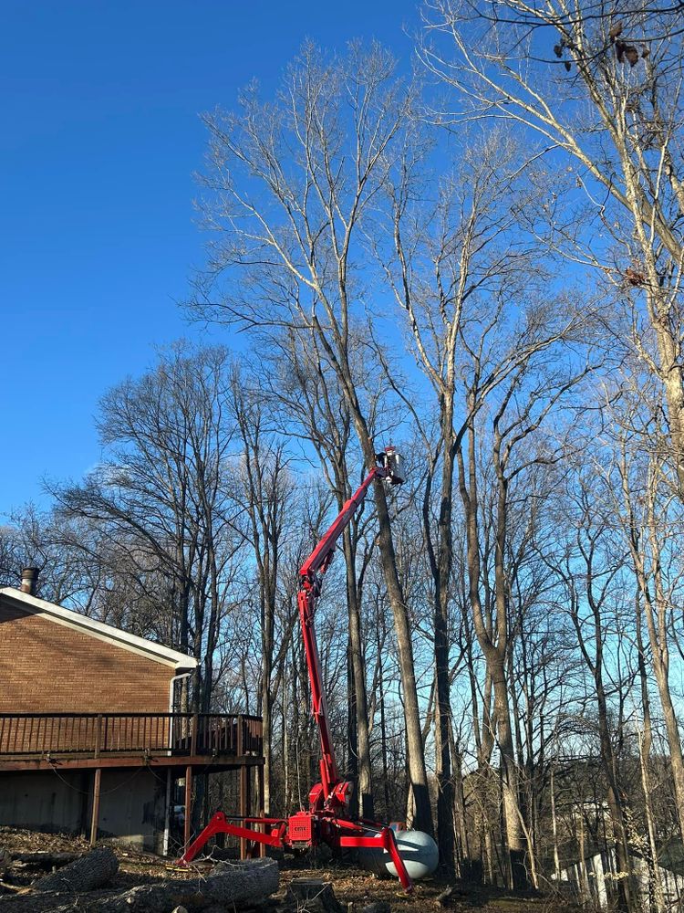 All Photos for SMITHs Tree Service in Columbus, IN