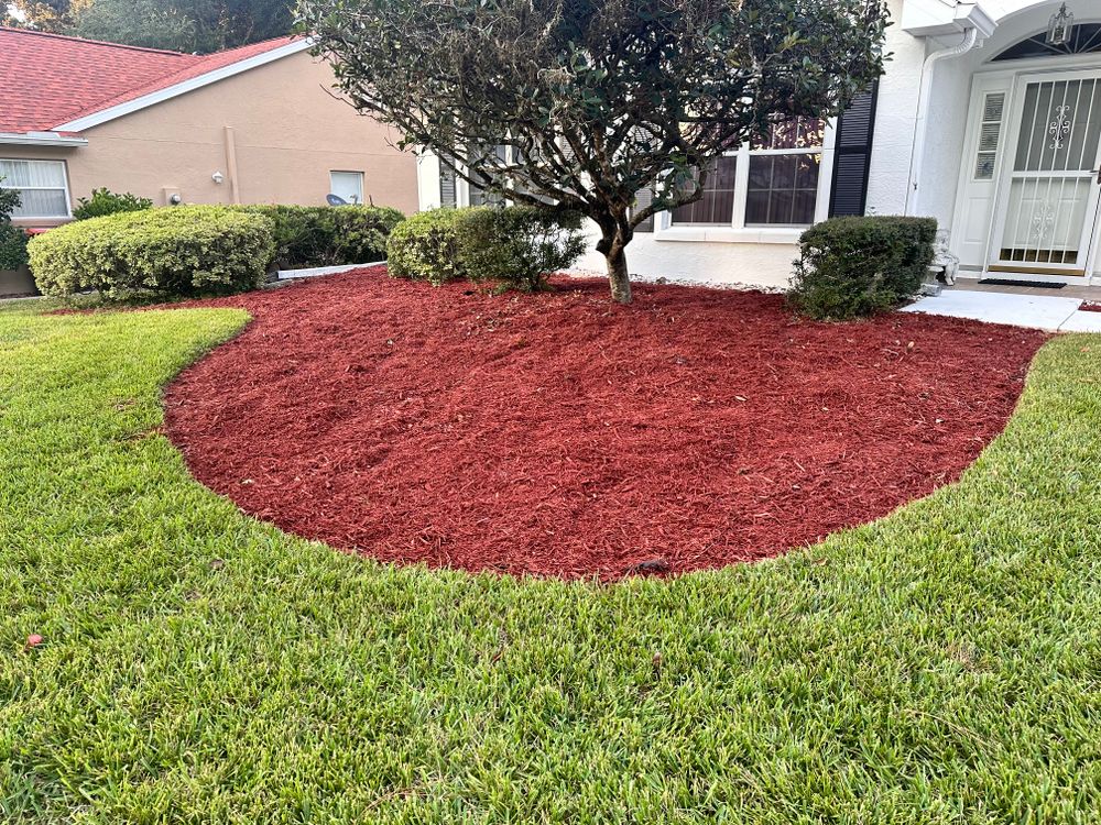 Upgrade your landscape with our professional mulch installation service. Our team will enhance the appearance of your property while also providing essential nutrients for the health of your trees and plants. for Tree Amigos Tree Service in Ocala, Fl