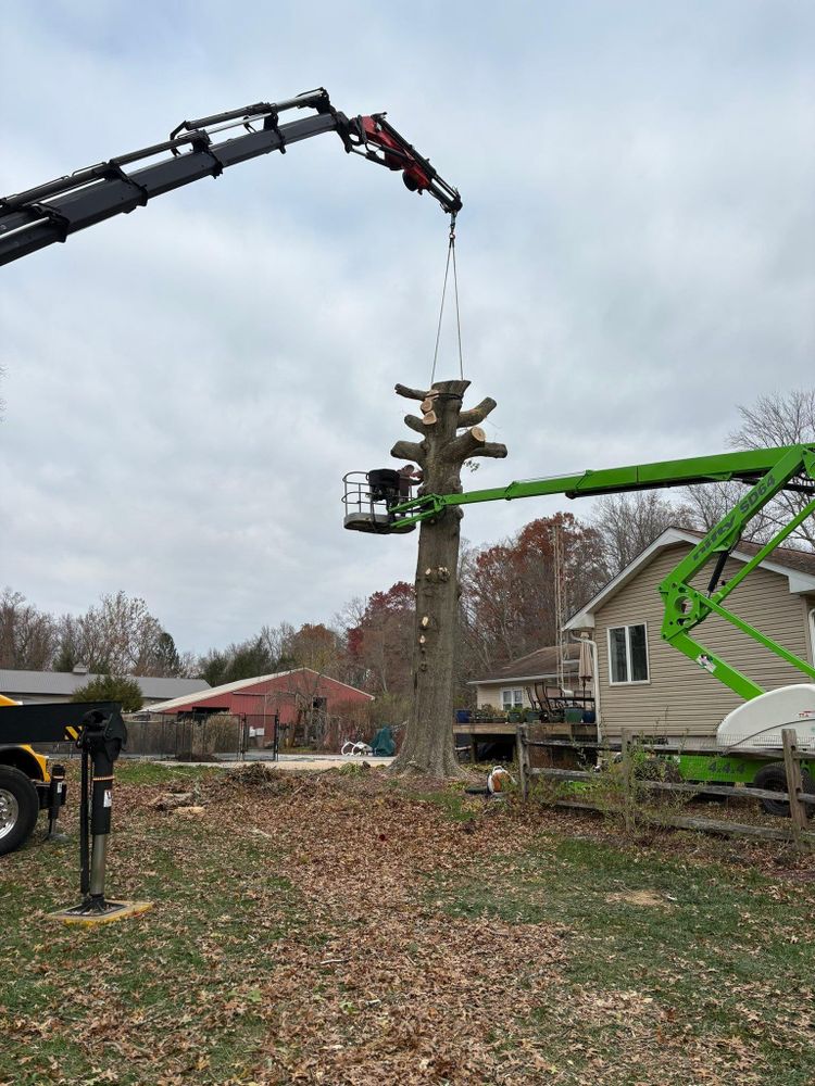 All Photos for Hingewood Tree Service in Salem, NJ