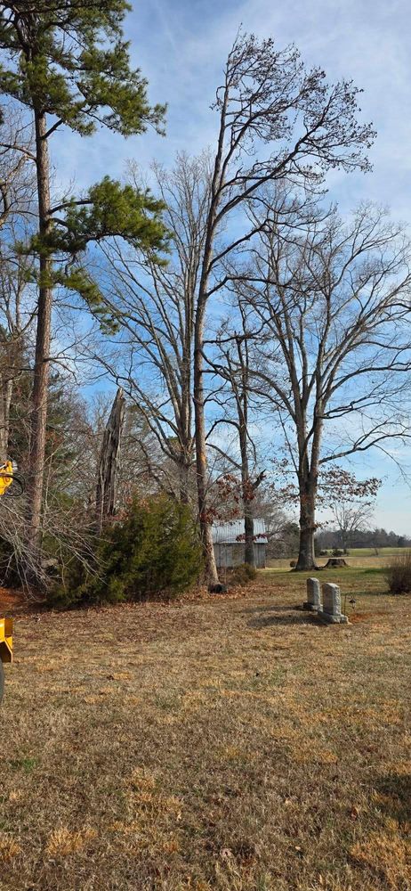 All Photos for Hamlett Tree Service LLC in Clover, VA