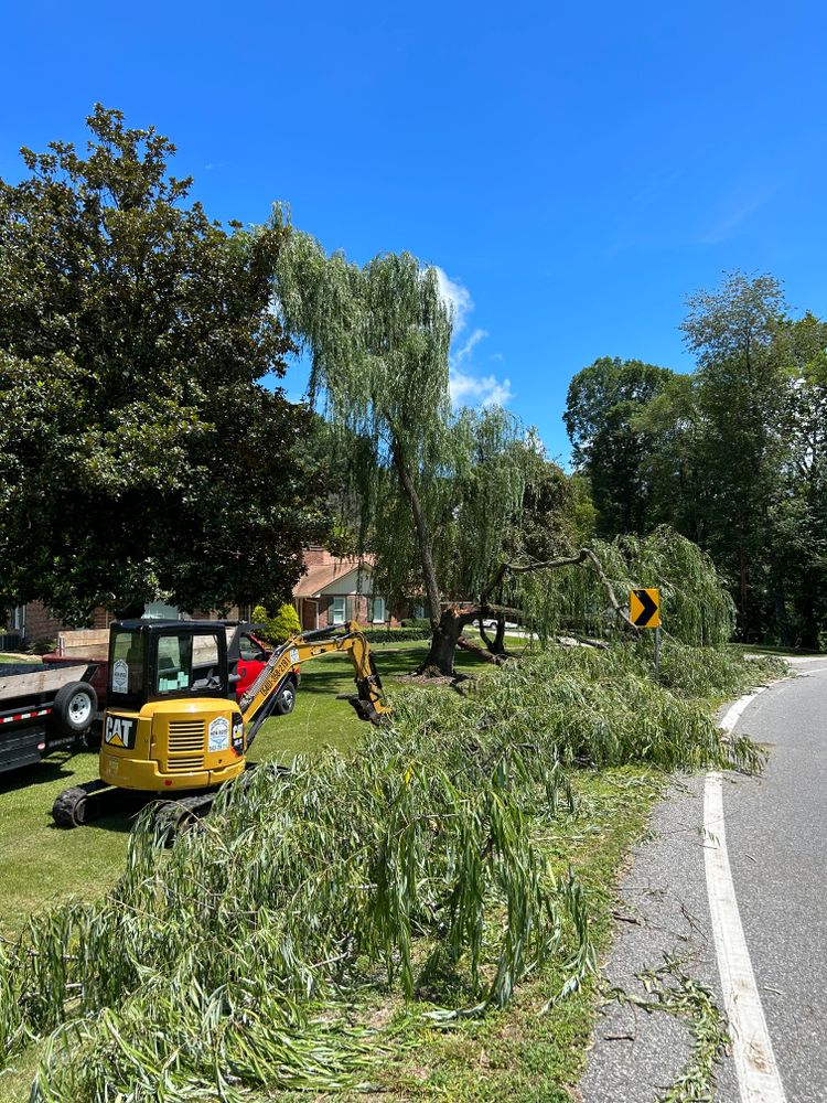 Tree Removal for NRV Tree Pro, LLC in Narrows, VA