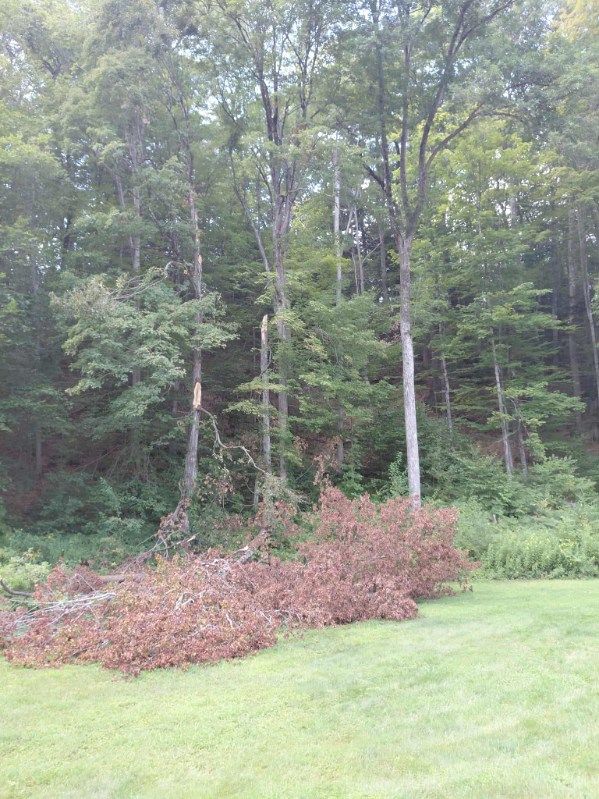 All Photos for First Response Reconstruction LLC in New Hampshire, NH