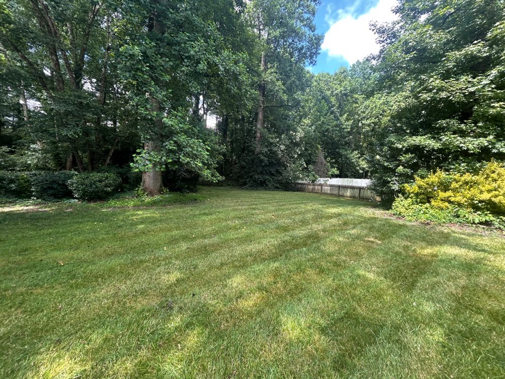 All Photos for Everett Lawn Care in Raleigh, NC