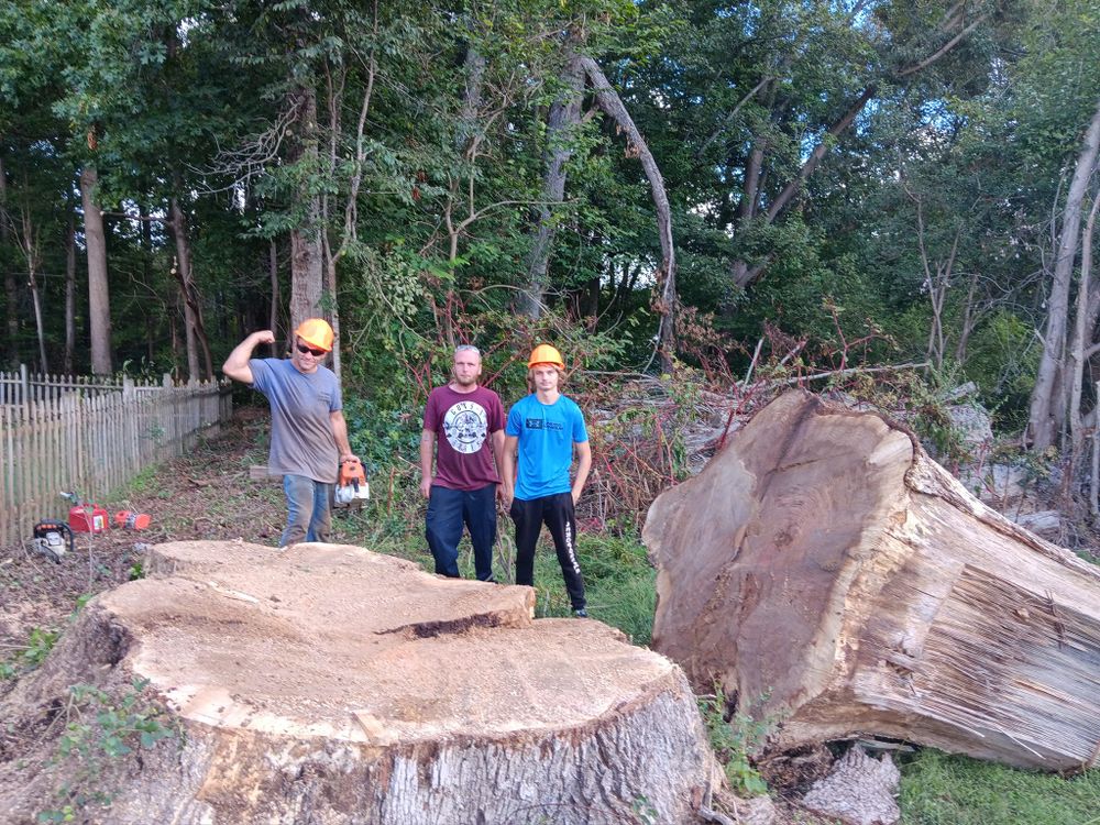 All Photos for The Webster Tree Service in Danville, VA