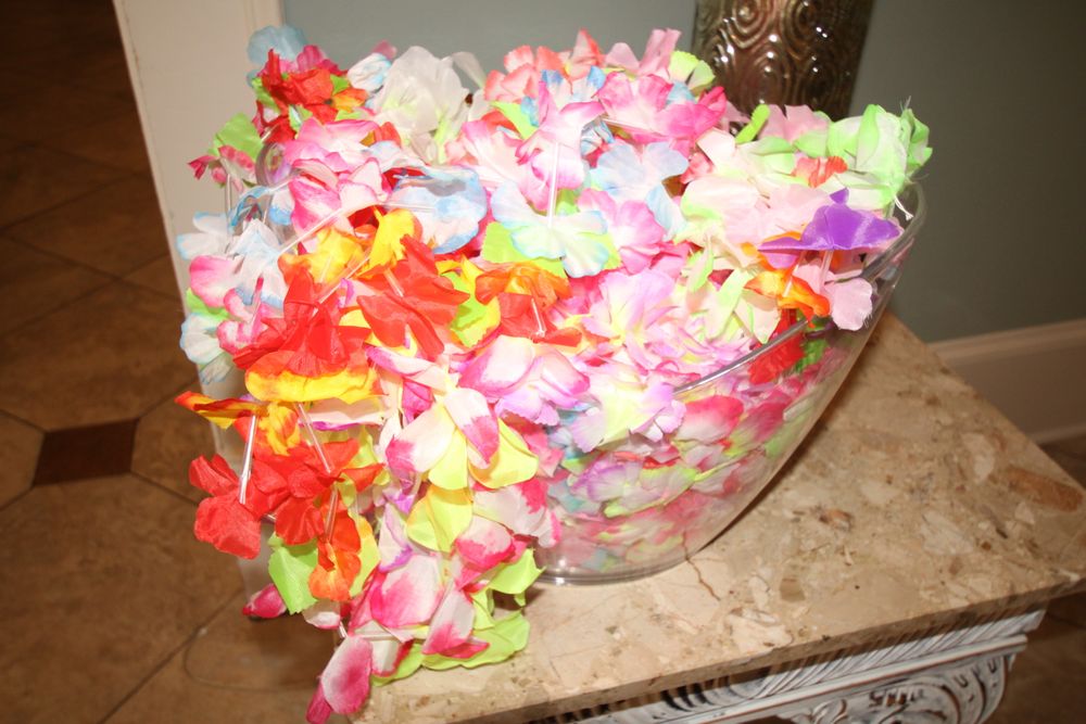 Luau Party Mount Pleasant SC 6/14/25 for 360 Media in Charleston, SC