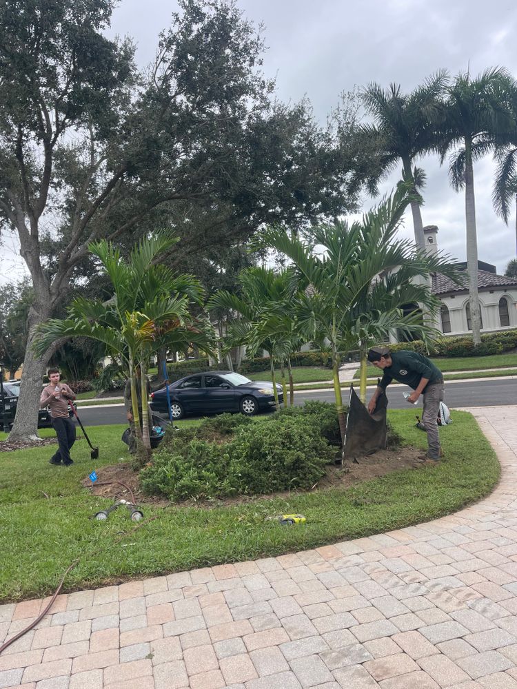 Other Services for Adam's Tree and Stump Care in Sarasota, FL
