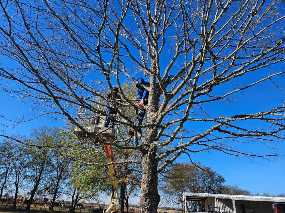 Mowing for Ornelas Lawn Service in Lone Oak, Texas