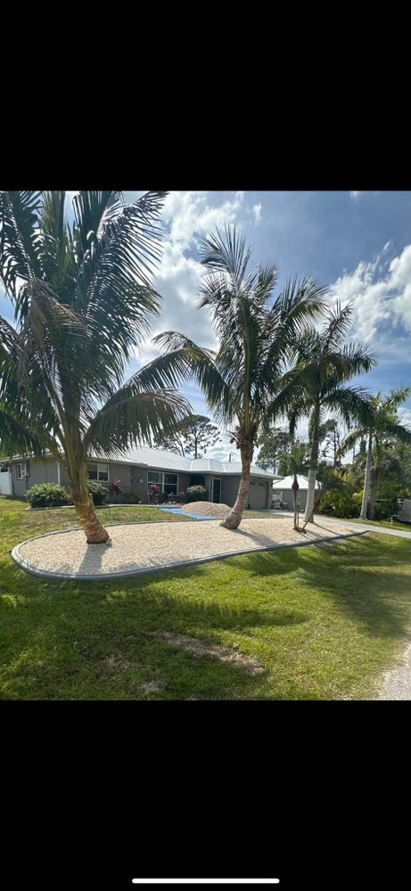 Tree Removal for MX Trees LLC in Englewood, FL