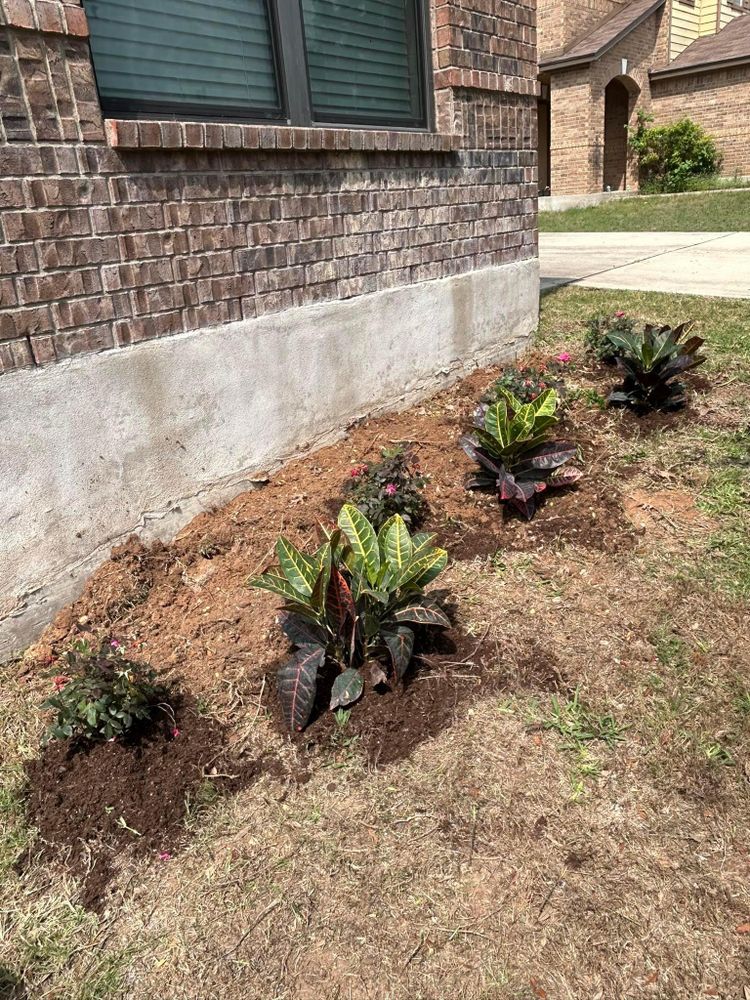 All Photos for Green Turf Landscaping in Kyle, TX