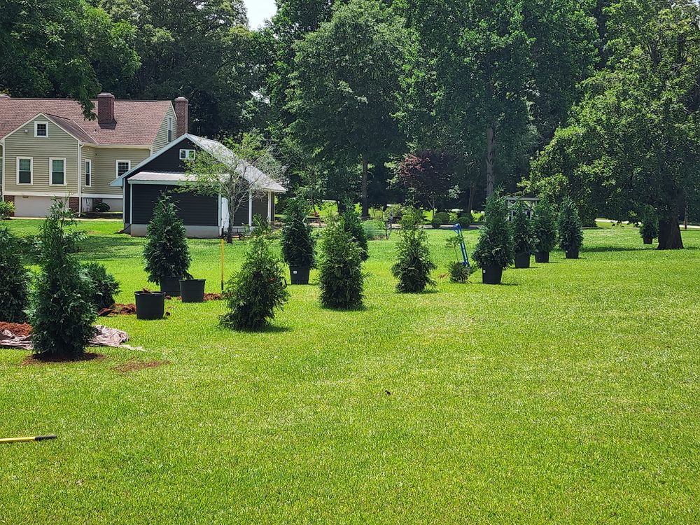 Our Tree Planting service helps homeowners enhance the beauty of their outdoor space by professionally planting trees and creating a greener and more sustainable environment. for Reg's Lawn Care Services in LaGrange, GA