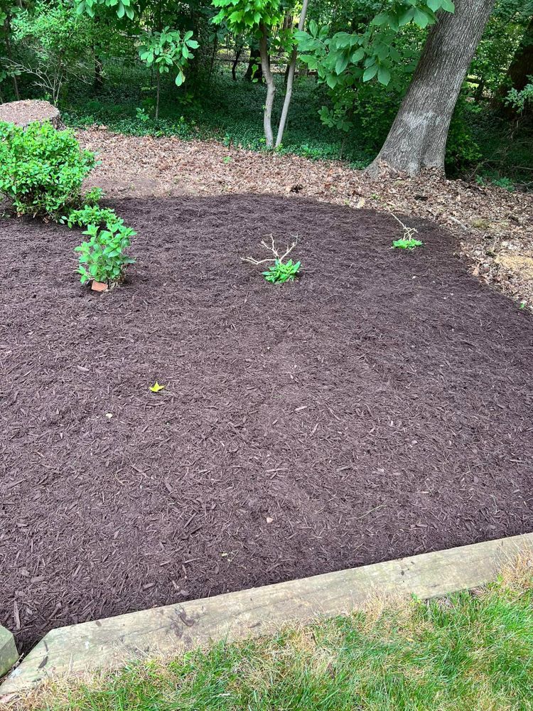 Mowing for Freedom Landscape LLC in Chesterfield, VA