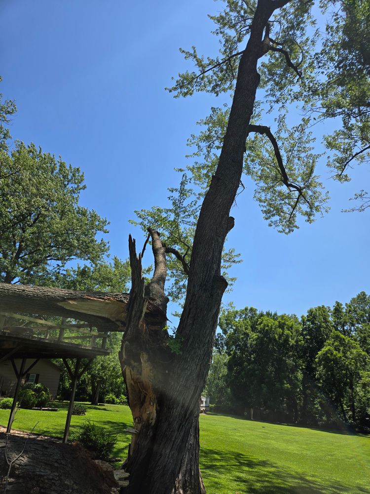 All Photos for Lawn Ranger Yard And Tree Service LLC in Ottumwa, IA