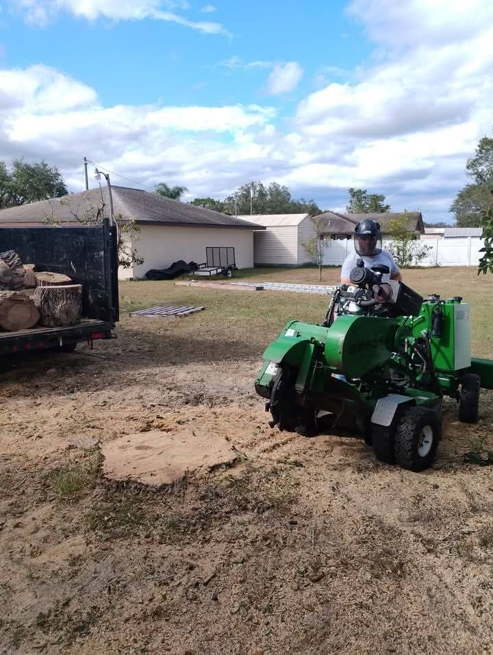 Our Stump Removal service efficiently eliminates unsightly stumps, enhancing your landscape’s appearance and safety. Our team uses specialized equipment to ensure a clean, seamless finish for better yard aesthetics and usability. for Highlands Tree Service LLC in Avon Park, FL