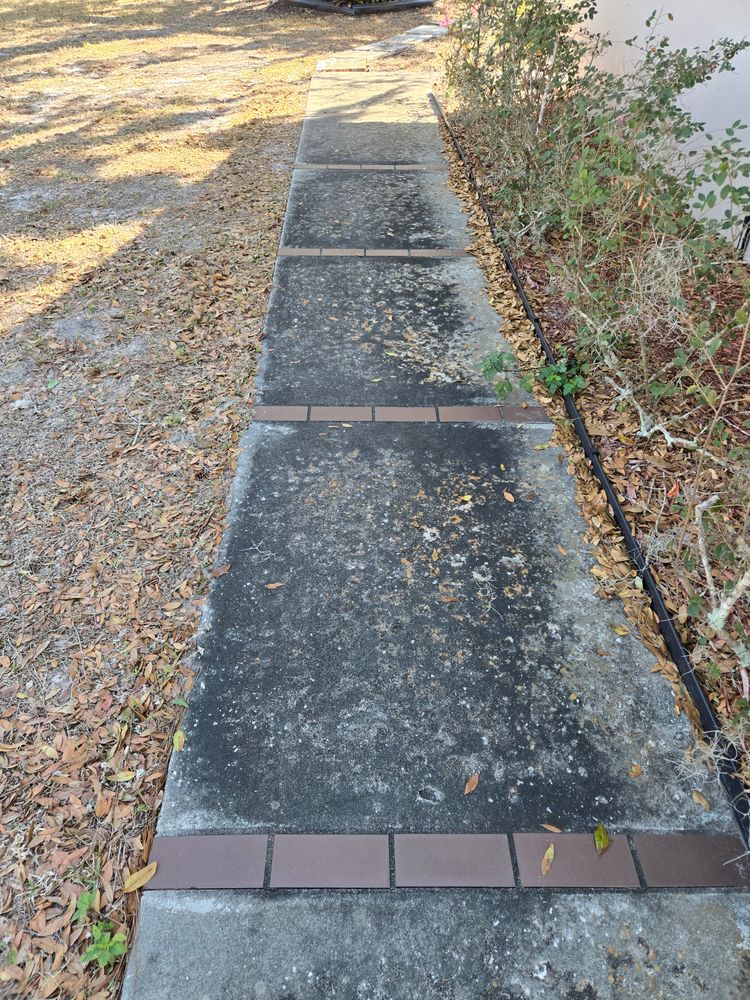 All Photos for Above the Lawn Cuts and Pressure Washing in Sebring, FL