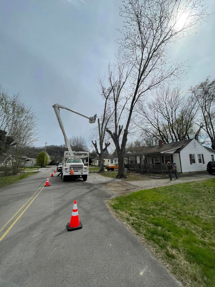 All Photos for Lucky’s Tree Removal and Landscape Services in Knoxville, TN