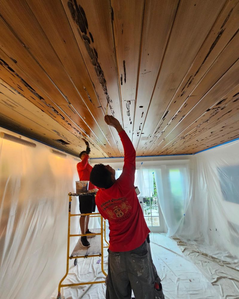 Transitional for Unlimited Painting & Faux Finishing in North Palm Beach, FL