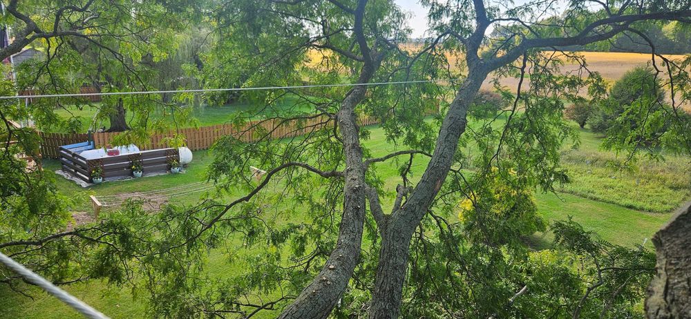 All Photos for Highborn Tree Service in Wheatfield, IN