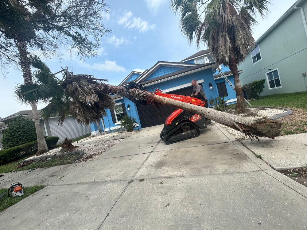 All Photos for Top Notch Tree Experts in Orange Park, FL