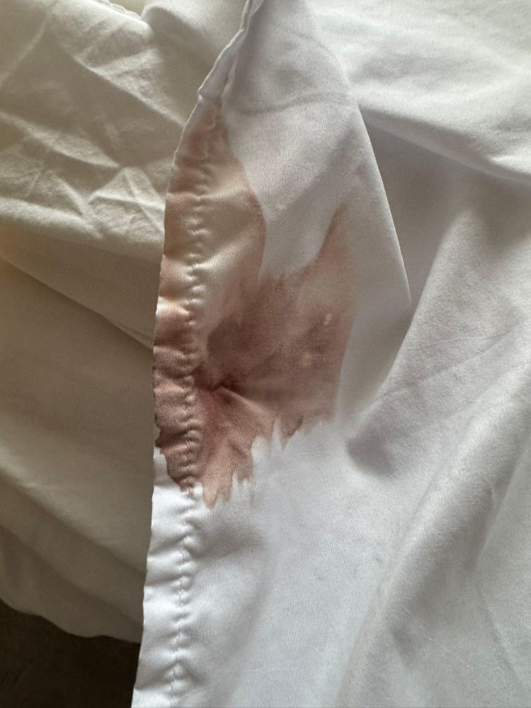 All Photos for A+ Cleaning and Services LLC in Deep Creek Lake, MD 