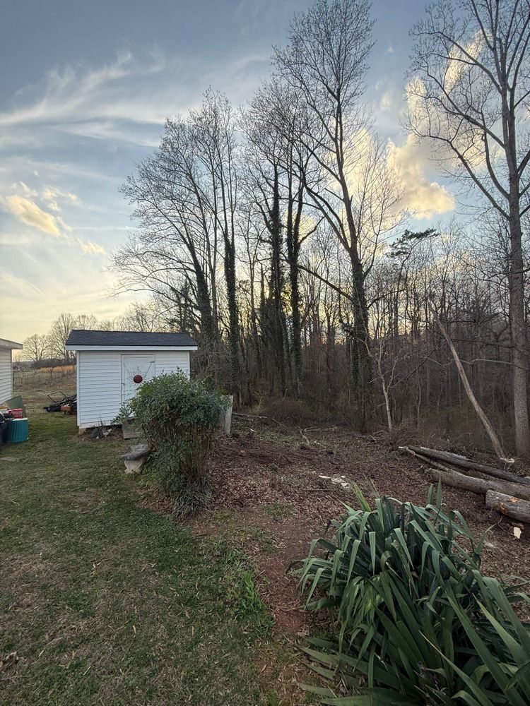 All Photos for Brooks Tree Service in Casar, NC