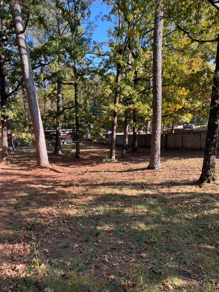 All Photos for J.P Landscaping and excavation in Chattanooga, TN