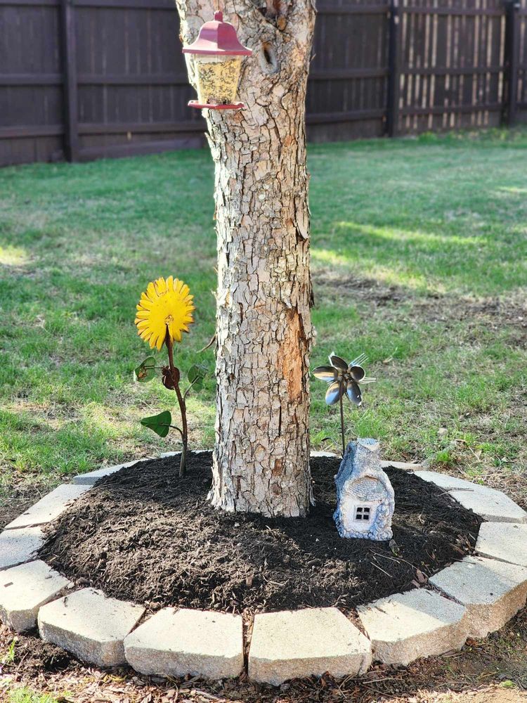 All Photos for Fresh Yards Landscaping in Austin, Texas