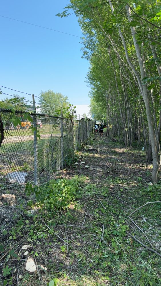 All Photos for Fransen's Tree Service  in Freeport, IL