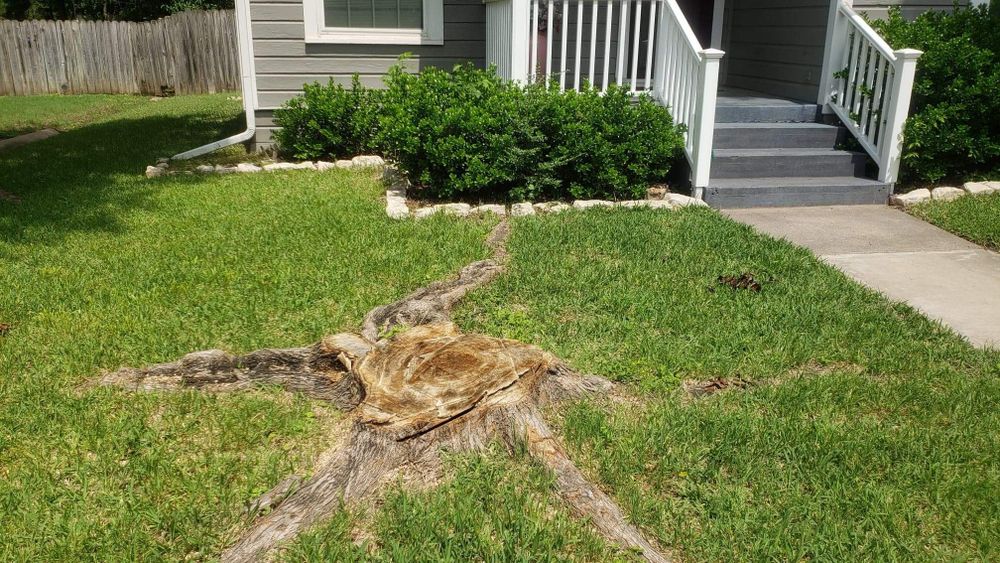 All Photos for Paquito's Landscaping in Ellis County, TX