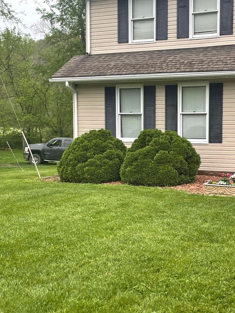 Landscaping for Dust Till Dawn Lawn in London, Kentucky