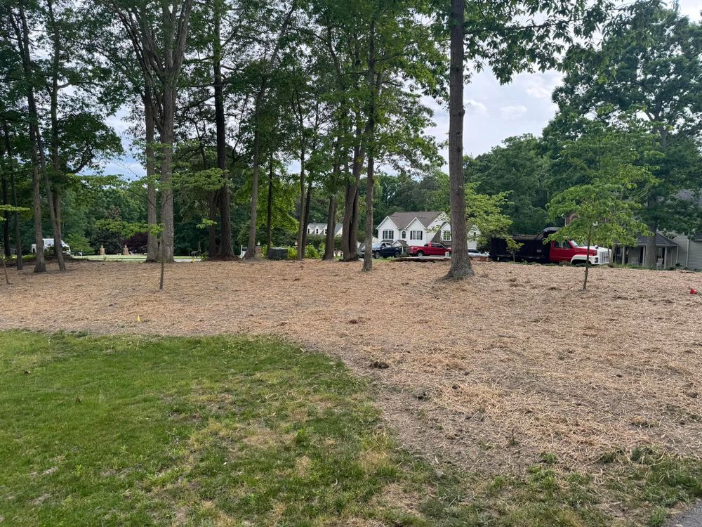 All Photos for Robbie's Lawn & Landscape in Chesterfield, VA