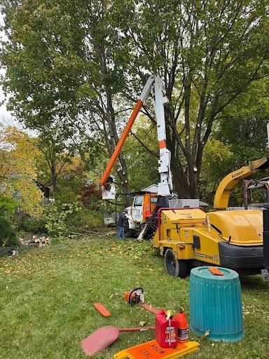 All Photos for Dwights Tree Service in Middleborough, MA