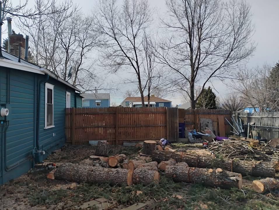 All Photos for Sloan Tree Service in Aurora, CO