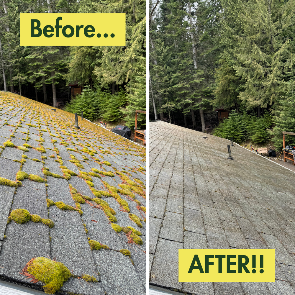 Before & After Photos for Swift Serve in Coeur d'Alene, ID