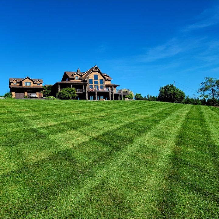 Lawn Care for Perfect Lawn Solutions LLC in Marshall, WI