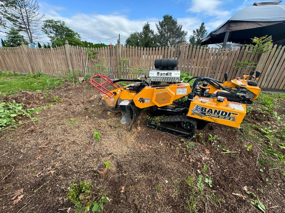 Tree Removal for Beckenbaugh Tree & Lawn Service in Lewistown, PA