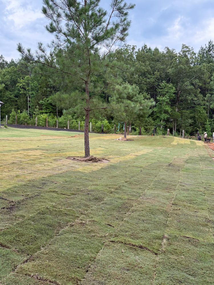 All Photos for Alvarez Landscape & Hardscape Service in Rock Hill, SC