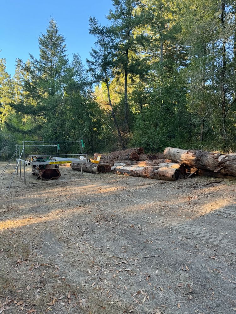 All Photos for Ren Levine Construction in Sonoma County, CA